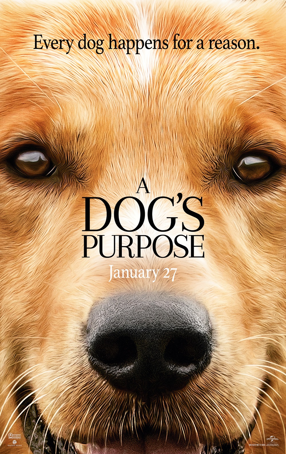 A Dog’s Purpose (2017), on FuboTV